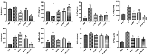 Figure 3. Effect of CS-RC nanoparticles on cytokine and chemokine expression in BALF