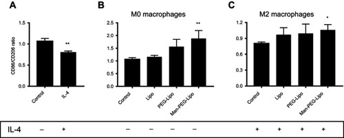Figure 9 Receptor expression ratio of RAW264.7 cells (M0 macrophages) or IL-4-conditioned RAW264.7 cells (M2 macrophages) after incubation with liposomes for 24 h. (A) M0 macrophages were treated with IL-4 for 24 h. (B) M0 macrophages were treated with liposomes for 24 h. (C) M2 macrophages were treated with liposomes for 24 h. Each value represents the mean ± SD (n=3). *p<0.05, **p<0.01, and ***p<0.001 compared with the control group.Abbreviations: Lipo, liposomes; PEG-Lipo, PEGylated liposomes; Man-PEG-Lipo, mannosylated liposomes; IL-4, Interleukin-4.