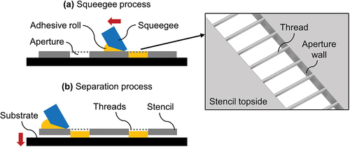 Figure 1. Schematic of the stencil printing process consisting of a squeegee process (a) and a separation process (b). Perspective view of an aperture segment of a double-layer stencil made from stainless steel, based on.[Citation5,Citation6]