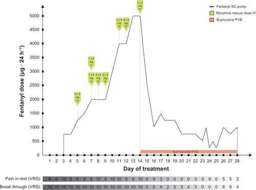 Figure 1 Drugs used for pain control during the stay in hospice in the patient presented.