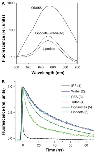 Figure 6 (A) Fluorescence spectra of QD655 in PBS and lipodots. (B) Fluorescence decay of QD655 in different solutions. Fluorescence intensity is normalized to 1 at initial values.Abbreviations: QD, quantum dot; PBS, phosphate buffered saline.