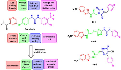 Figure 3. The fundamental structural requirements for SOR and rational of design of the novel postulated VEGFR-2 inhibitors.