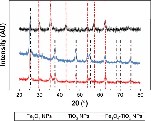 Figure 2 Fe3O4-TiO2 NPs captured by X-ray diffraction.Abbreviation: NPs, nanoparticles.