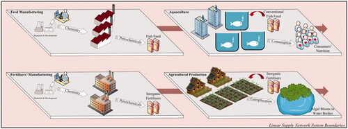 Figure 3. Linear system structure of fertilisers and fish feed supply chains.