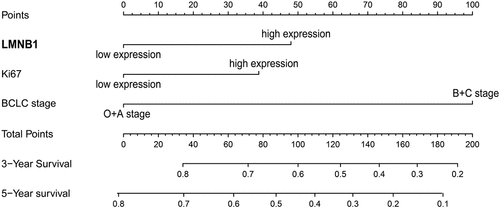 Figure 9. A nomogram for predicting the OS of HCC patients.