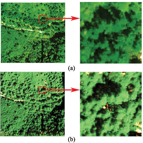 Figure 12. Comparison between UAV image and simulated visible image: (a) UAV image; (b) generated image. The simulated visible image was based on a 90 cm voxel with branches model.