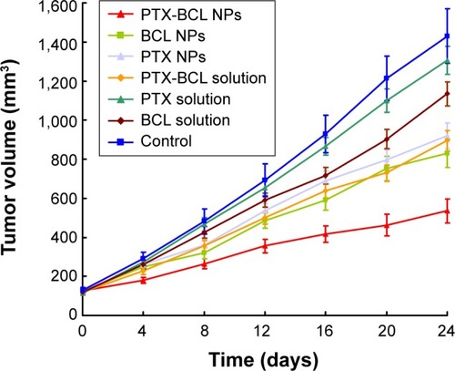 Figure 7 Tumor volume changes after treatment with paclitaxel (PTX) solution, baicalein (BCL) solution, PTX-BCL solution, PTX nanoparticles (NPs), BCL NPs, and PTX-BCL NPs in mice bearing an A549/PTX drug-resistant human lung cancer xenograft.