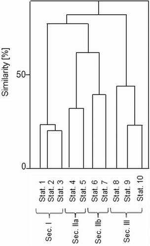 Fig. 3. Results of a cluster similarity analysis, showing the classification of individual stations into sections on the basis of the sediment features listed in Table 1. Abbreviations: Stat.: station, Sec.: section.