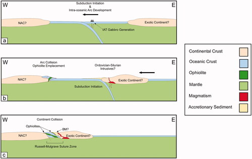 Figure 8. Tectonic model for depicting the formation and emplacement of the Cowley Ophiolite Complex. (a) An outboard, eastward-dipping subduction complex is responsible for the formation of an intra-oceanic, island-arc complex and the formation of island-arc tholeiitic (IAT) gabbro. (b) Slab rollback and westward migration of the intra-oceanic island-arc complex eventually results in arc accretion. Continuous convergence following subduction extinction along the North Australian Craton (NAC) results in eastward-dipping subduction initiation beneath an exotic continent or micro-continent. (c) Continuous westward retreat of the exotic continent results in collision, intense deformation of accreted sediments, possibly representing the Barnard Metamorphics (BM), and tectonic juxtaposition of ophiolite and sediment, marking the Russell-Mulgrave Suture Zone.