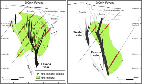 Figure 16. Cross sections along the 1200mN and 1000mN drill lines showing the distribution of NH4-minerals at the Favona deposit (Simpson Citation2015). The locations of the cross sections are shown in figure 2B. Reflectance spectra at Favona were collected on average every 5 m but only those identified with ammonium are shown (circles). RL = relative level with 1,000m RL = sea level.