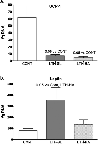 Figure 1. Messenger RNA concentrations (fg mRNA per 50 ng total RNA) for Uncoupling Protein 1 (UCP1) (a) and leptin (b) in perirenal fat from 14-day old control (CONT) lambs gestated and delivered under normoxic conditions, and 14-day old lambs exposed to long term moderate gestational hypoxia in utero (LTH) then maintained post-birth at either high altitude (HA) or near sea level (SL) through 14 days’ post-birth. Lambs exposed to LTH in utero exhibited significantly decreased UCP-1 (a, p < 0.05) in both LTH-HA and LTH-SL lambs. LTH-SL lambs (but not LTH-HA lambs) had elevated mRNA concentration of leptin (b; p < 0.05) compared to normoxic control lambs