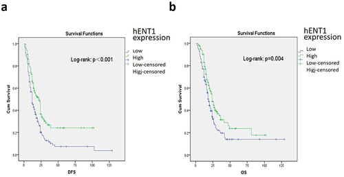 Figure 2 (a) In all patients, high hENT1 expression correlated with longer DFS (p<0.001). (b) In all patients, high hENT1 expression correlated with longer OS (p=0.004).