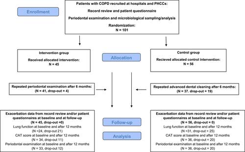 Figure 1 Flow chart. Adapted CONSORT flow chart of data collection, randomization, and follow-up.