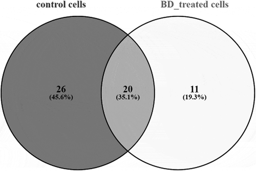 Figure 3. Venn’s diagram of proteins identified by MALDI TOF/TOF mass-spectrometry.