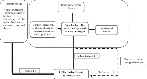 Figure 2. Analytical framework of the study.