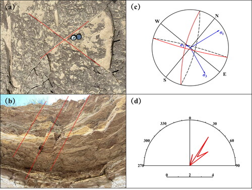 Figure 6. Analysis of field geological survey in the research area. a ‘X’ conjugated heritage of the research area, b Fissures in Cretaceous strata outcrops, c the Stereographic projection method, d the maximum horizontal principal stress (MaxHPS) direction at the measurement point.