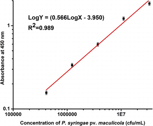 Figure 3. Standard curve of sandwich ELISA for P. syringae pv. maculicola (CFU/ml).