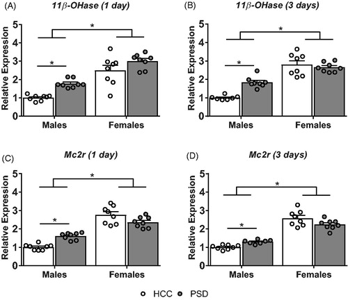 Figure 4. Alterations in adrenal gene expression following paradoxical sleep deprivation. Male mice showed an increase in 11β-hydroxylase (11β-OHase) following both a single day (A) and three days (B) of sleep deprivation. Males also showed an increase in melanocortin receptor 2 (Mc2r) expression following both a single (C) and three days (D) of PSD. n = 7–8. * Denotes pairwise comparisons where p < .05.