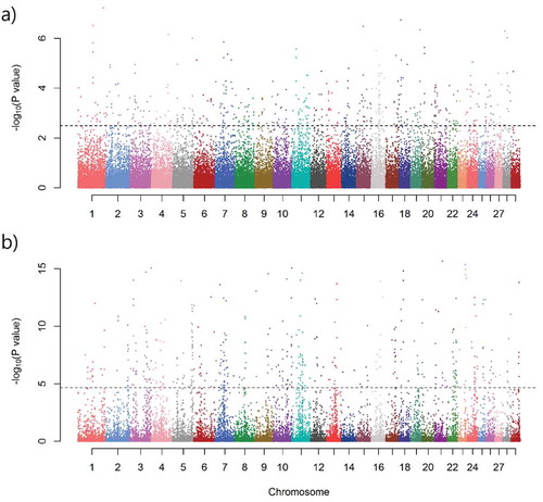 Figure 2. Manhattan plot of the—log10 transformed XP-EHH (a), and XP-CLR (b) p-values. The y-axis shows the—log10 (P-value) of XP-EHH and XP-CLR p-value, and x-axis shows chromosomal positions. The horizontal dotted lines represent the 1% outlier regions in both of the statistical methods.