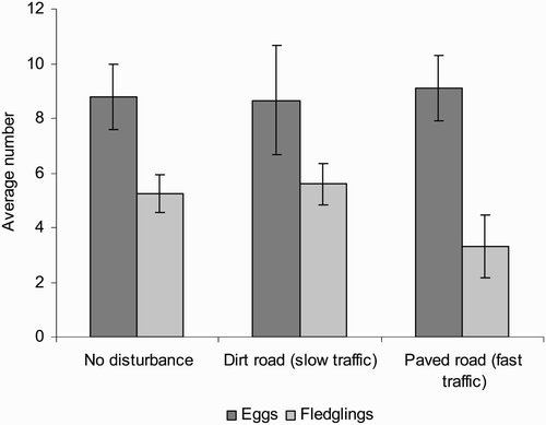 Figure 1. The average number of eggs laid per nest and the average number of fledglings per nest from nests in hedgerows alongside roads with three different disturbance grades. Zero values, i.e. complete brood failures, are included in the fledgling average. 95% confidence limits are shown.