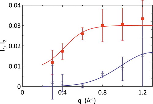 Figure 11. Energy-integrated intensity versus q for mode ”1” (red dots) and mode ”2” (blu circles) obtained by the two-interacting modes model applied to the single set of neutron [Citation159] and x-ray [Citation160] data measured in liquid Hg. The full lines through the data are guides-to-the-eye