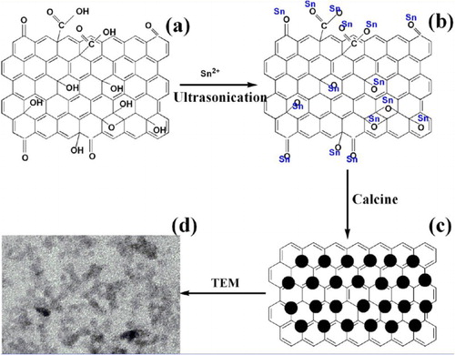 Figure 10. Schematic formation mechanism of SnO2 QDs/GNS composites: (a) GO, (b) electrostatic interaction between oxide functional groups of GO and Sn2+, (c) graphene decorated with SnO2 QDs (filled circles) after the calcine treatment, and (d) TEM image of SQDs/GNS composites. Reprinted with permission from Ref. [Citation100]. Copyright 2013 American Chemical Society.