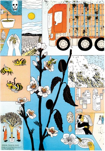 Figure 2. Plant–pollinator relationships at stake, or in some way out of sync, in Southern Sweden, Northern Europe. A2 size riso printed posters, drawn with thin, clear ink lines and coloured in bright shades of orange, yellow, aqua and camel brown. Large portraits of the plants in bloom with visiting insect pollinators take a central place in the image, surrounded by a frame of smaller thickener panels – images that expand the story – different facets of a prism presenting these relationships. Almond trees, on the other hand, are less common in Sweden. Most of the almonds and the almond milk that you can buy in Sweden come from large plantations in California, where the almond trees are pollinated by bees being transported on trucks. Partly due to climate change and bioengineered varieties, there are, however, also ongoing attempts to grow and farm almonds in Southern Sweden. Copyright Saskia Gullstrand.