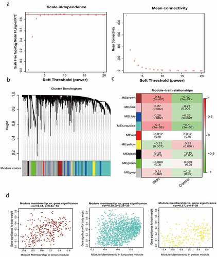 Figure 1. Construction of gene co-expression modules. (a) Analysis of network topology for various soft-thresholding powers. (b) Gene clustering tree (dendrogram) obtained by hierarchical clustering of adjacency-based dissimilarity. (c) Module-feature associations. Each row corresponds to a module eigengene, and each column corresponds to a clinical feature. Red represents a positive correlation, and green represents a negative correlation. The darker the corresponding color, the stronger the correlation coefficient. (d) Scatter plot of eigengene modules