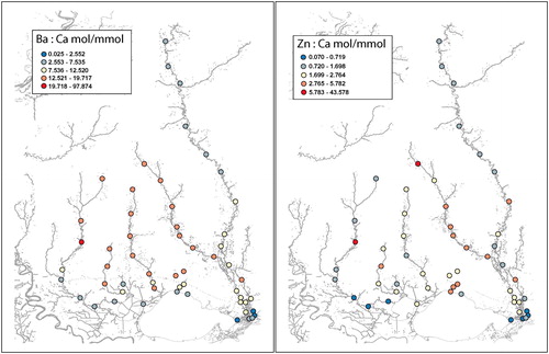 Figure 3. Ba/Ca (left panel) and Zn/Ca (right panel) maps of the Pearl River and Lake Pontchartrain Watershed areas.