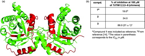 Figure 5. (a) Graphical representation of TcTIM showing the regions of TbTIM (highlighted) that were grafted onto TcTIM to generate the chimera TcTIM 2,3,5-8. (b) Classic inhibition assay, using modified TcTIM, to evaluate the selectivity of the inhibitors 2 and 3.