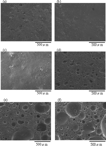 Figure 6 SEM images of aggregates sintered from SPS with 15 wt% H3BO3 at different temperatures for 0.5 hr: (a) surface, 800°C; (b) surface, 850°C; (c) surface, 900°C; (d) cross-section, 800°C; (e) cross-section, 850°C; (f) cross-section, 900°C.