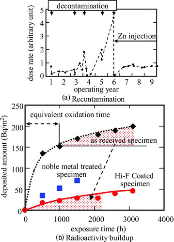 Figure 13 Radioactivity deposition on piping. (a) Recontamination and (b) radioactivity buildup