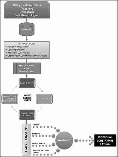 Figure 1. Schematic overview of constraint analysis procedure.