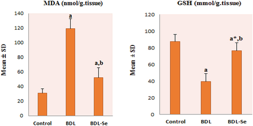 Figure 3. Comparison of brain MDA and GSH content among the experimental groups. Values are presented as mean ± SD.