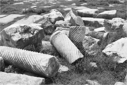 Figure 31. Marble spiral columns, Perge, South Turkey. Roman era.