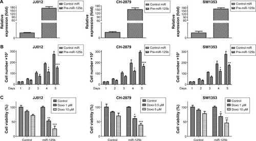 Figure 2 Overexpression of miR-125b in chondrosarcoma cells inhibits cells growth rate and increases the sensitivity to doxorubicin.