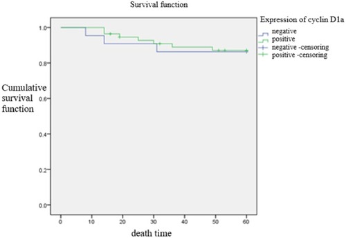 Figure 3 Comparison of time to postoperative death between cyclin D1a-positive and -negative group. The short-term recurrence rate showed no statistically significant difference between the two groups (p = 0.889).