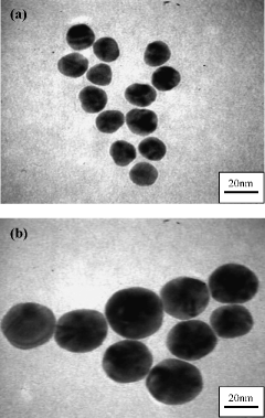 Figure 1. TEM images of AuNSs. (a) 15 nm and (b) 30 nm.
