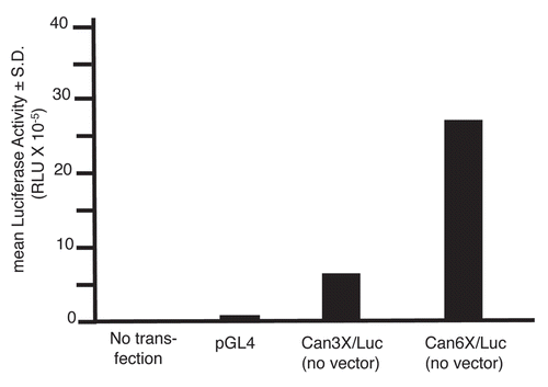 Figure 4 CanScript promoter function as measured by luciferase activity following transient transfection of A2780 cells with purified insert DNA (i.e., no vector sequence) or with pGL4.10(luc2) vector. Cells were transfected with 0.5 µg DNA/well in a 24-well plate. Each construct was assayed three times.