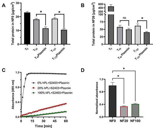 Figure 3 Inhibition of plasmin (10 mU/mL) by human platelets lysate. (A and B) Comparison of protein residuum in NF coated with NF0 (A) and NF20 (B). Coated NF were incubated with and without plasmin in PBS for 48- and 120- hour at 37°C. Mean ±S.D., (n=3), evaluated by the student’s one-tailed t-test. (C) Detection of an increase of absorbance for 1 hour in PBS (0%) and platelet lysate (20%; 100%; v/v) solution with plasmin and plasmin substrate S-2403; Mean ±S. D (n=3). (D) Coated NF were incubated in a solution containing plasmin and S-2403 and an increase of absorbance was measured after 1 hour and normalized to NF0 (NF0=1); Mean ±S. (D) (n=3) evaluated by the student’s one-tailed t-test. *Shows statistical significance compared to control p < 0.05; ns – shows non-significant result.