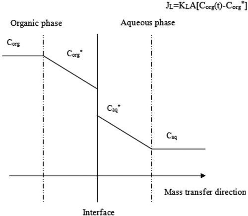 FIGURE 1 Esquematic concentrations profiles around the interface in the two-film model in the reverse micelle system at backward extraction (adapted from Mohd-Setapar et al., 2012).