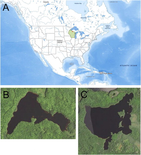Figure 1. Map of the locations of Sanford and Escanaba lakes (dot), Vilas County, Wisconsin (shaded), in relation to the United States and North America (A), along with satellite images of Sanford Lake (B) and Escanaba Lake (C).