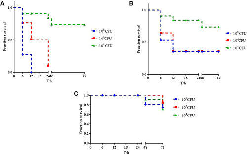 Figure 3 Virulence potential of K. pneumoniae strains in a Galleria mellonella infection model. (A) The survival rate of G. mellonella infected with CR-KP 01inoculum of 1×108 CFU/mL, 1×106 CFU/mL and 1×104 CFU/mL. (B) The survival rate of G. mellonella infected with CR-KP 14 inoculum of 1×108 CFU/mL, 1×106 CFU/mL and 1×104 CFU/mL. (C) The survival rate of G. mellonella infected with CR-KP 02 inoculum of 1×108 CFU/mL, 1×106 CFU/mL and 1×104 CFU/mL.