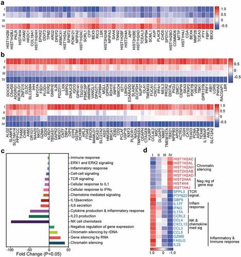 Figure 3. Transcriptomic characterization of steadily deregulated genes across stages of CRC. Significantly upregulated (a) and downregulated genes (b) which were deregulated in an order with staging were used for further analyses on DAVID platform. Heat maps show the expression (Z-scores) of 51 upregulated and 134 downregulated genes. Bar plots show the fold change of each functional pathways, which were significantly upregulated and downregulated from gene ontology enrichment analyses (c). Heat map showing the expression of genes (Z-scores) discovered in the selected functional network from panel C (d).