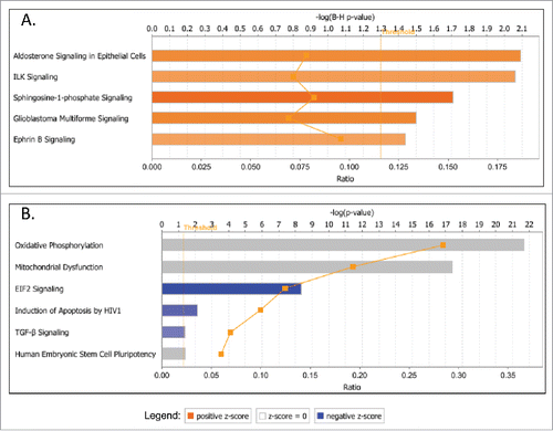 Figure 5. Top canonical pathways that were significantly dysregulated upon GRHL2 knockout (KO) in A2780s cells. A. Canonical pathways associated with upregulated genes upon GRHL2 KO; B. Canonical pathways associated with downregulated genes upon GRHL2 KO. Top functions are displayed that meet the Benjamini-Hochberg (B-H) multiple testing correction p-value of 0.05.