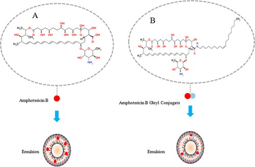 Figure 4. Oral AmB Emulsion. A: AmB was solubilized into NaOH solution or methanol, and then incorporated in emulsion; B: AmB and lipid were congulated, and then incorporated in emulsion.