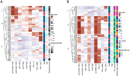 Figure 5. Multiparametric analysis of branches of adaptive immunity after SARS-CoV-2 infection and vaccination. Data from samples with available results for all previously analysed parameters (see Figure 5A and B) are presented in a heatmap with a dendrogram and patient IDs (P1-P41) showing measured variables expressed by a colour scale (std. value) clustered in 3 groups (clusters) separately at T1 (A) and T2 (B). Sex (male – M or female – F), age (26-77 years), and severity of COVID-19 (G1 – asymptomatic, G2 – mild, G3 – moderate, G4 – severe, G5 – critical and G6 – critical, requiring artificial lung ventilation and/or extracorporeal membrane oxygenation) were observed for patients at T1. Moreover, the number of vaccine doses (0-3) and the interval of months after vaccination (0-1; 2-3; 4-9; - refers to unvaccinated) were observed for patients at T2.