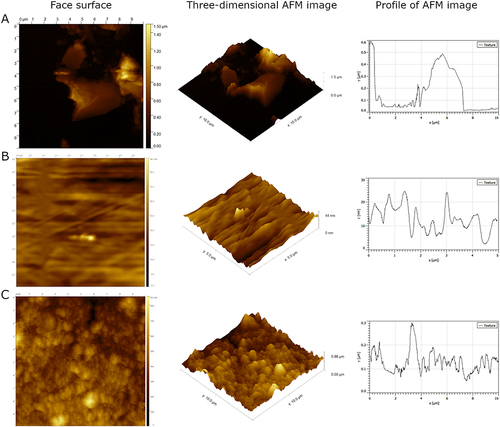 Figure 2 Topographical images of nanofilms made of GN (A), C60 (B), and ND (C) performed using the AFM technique.