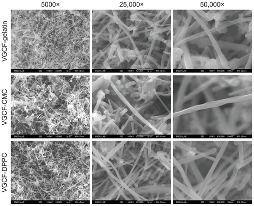 Figure S2 Field emission-scanning electron microscopy image of vapor grown carbon fiber (VGCF®) in different dispersants.Abbreviations: CMC, carboxylmethyl cellulose; DPPC, 1,2-dipalmitoylsn-glycero-3-phosphocholine.