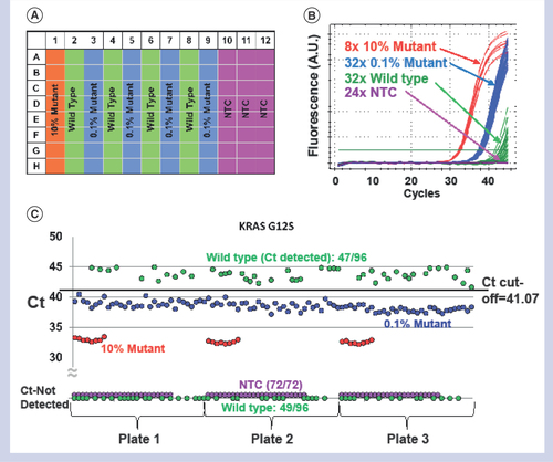 Figure 3.  KRAS G12S assay sensitivity and specificity data. (A) Plate setup for sensitivity test that holds 8x 10% mutant, 32x 0.1% mutant, 32x wild-type and 24x NTC reactions. Three plates of this configuration were run per assay. (B) qPCR data from one of the three sensitivity plates for G12S showing a clear separation between 0.1% and wild-type reactions. The green horizontal straight line in the graph indicates the threshold universally set at 500. (C) Ct’s from all three sensitivity plates for G12S consolidated in a single graph to visualize the Ct cut-off to separate between 0.1% mutant and WT reactions achieving 100% sensitivity and 100% specificity. Note that any data point at the bottom of the graph indicates Ct was not detected until 45 cycles and that no NTC reactions registered any Ct’s.Ct: Cycle of threshold; NTC: No template control.